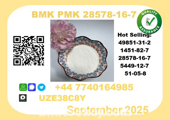 CAS 28578-16-7 BMK PMK Certified Factory Supply